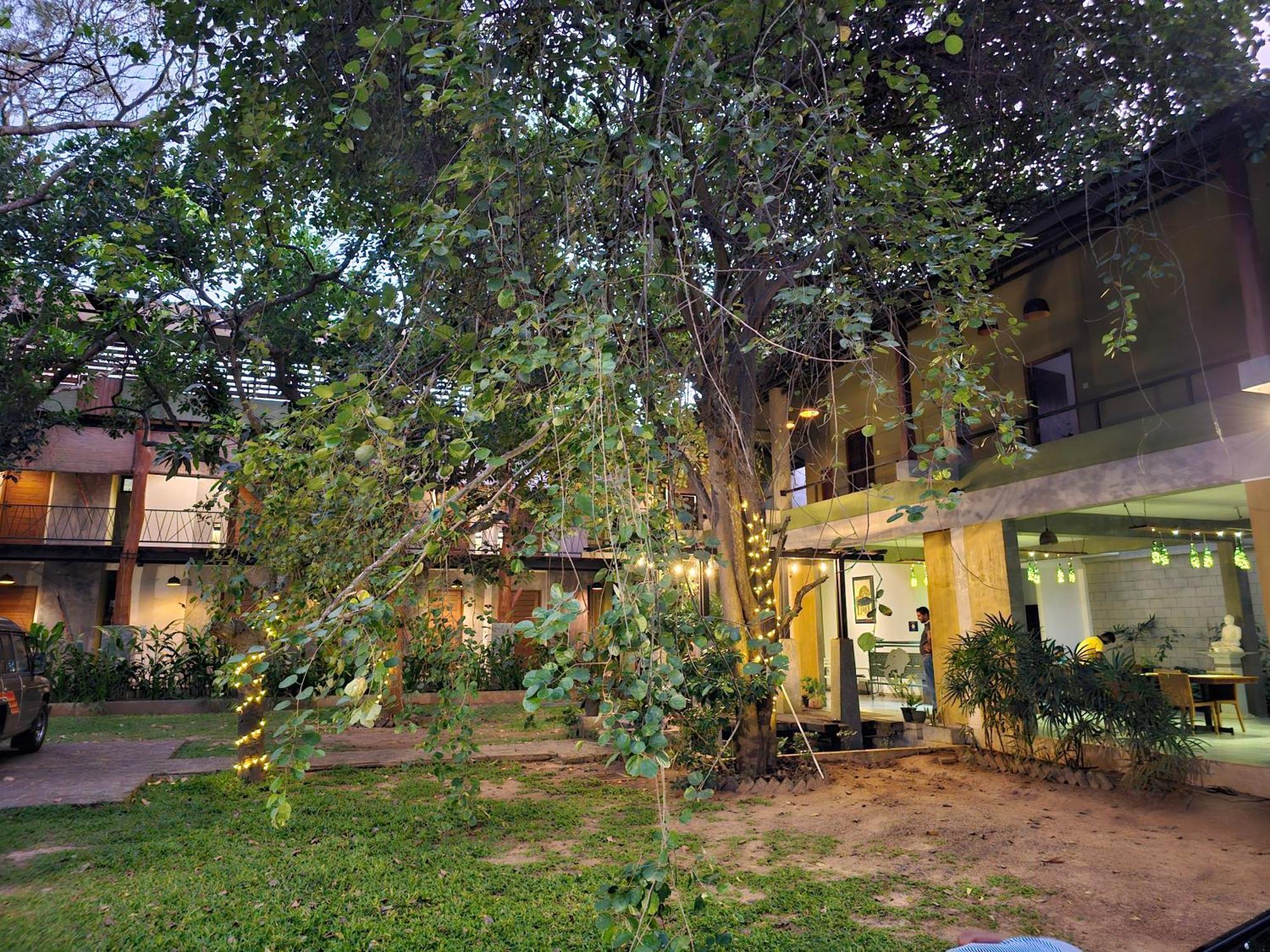 Royal Tusker Hotel Udawalawe Ngoại thất bức ảnh