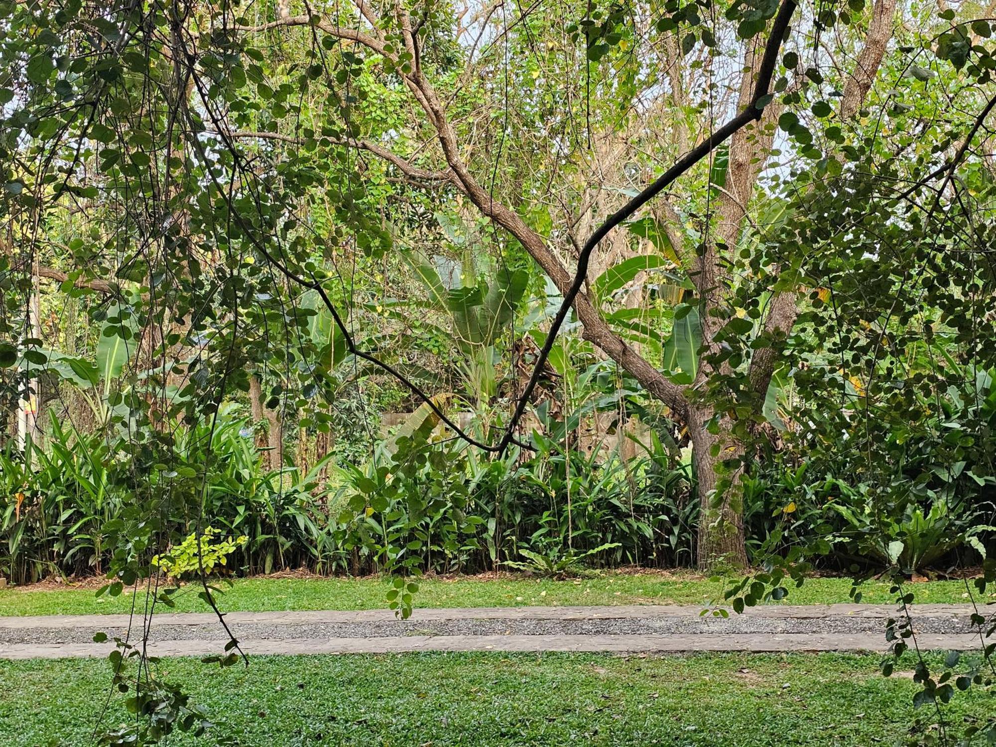 Royal Tusker Hotel Udawalawe Ngoại thất bức ảnh
