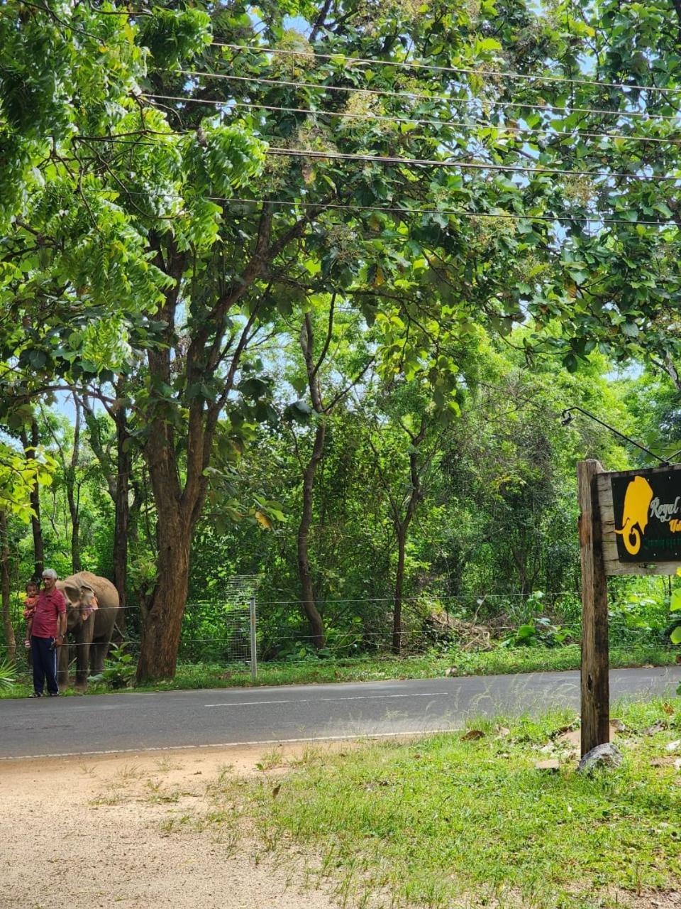 Royal Tusker Hotel Udawalawe Ngoại thất bức ảnh
