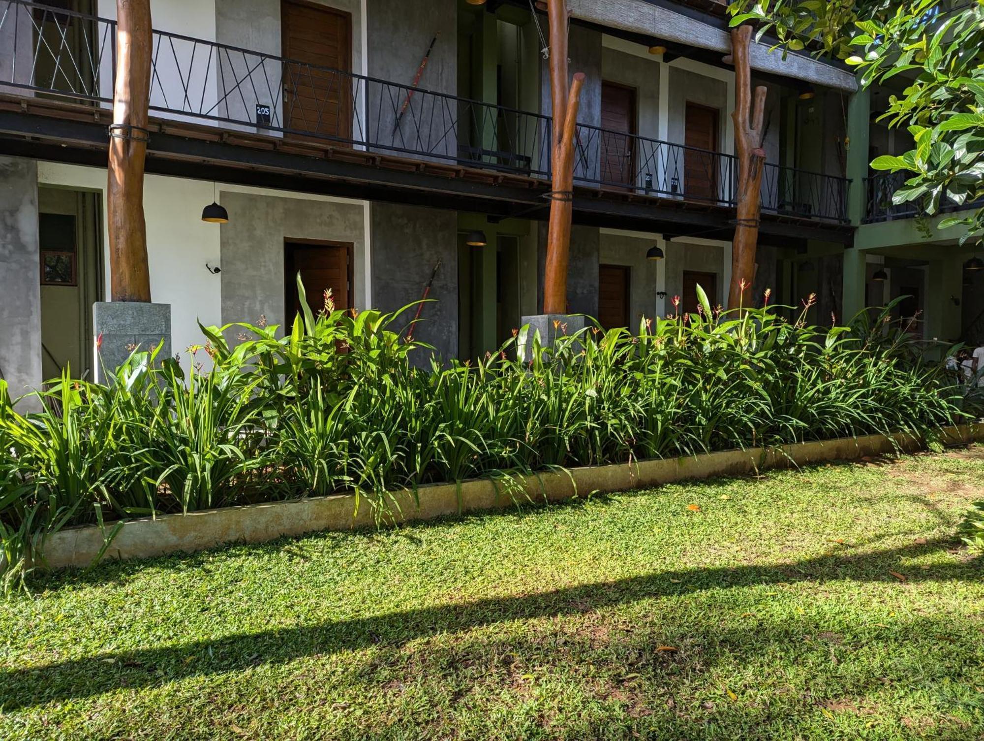 Royal Tusker Hotel Udawalawe Ngoại thất bức ảnh